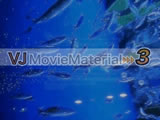 VJ MovieMaterial 3 VJ�f���f�ޏW�I120�{���^�I